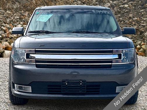 Magnetic 2019 Ford Flex SEL