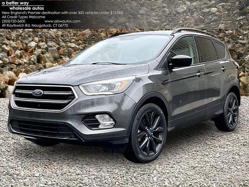 Magnetic 2018 Ford Escape SE