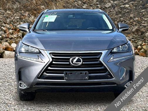 Gray Pearl 2017 Lexus NX 200t Base