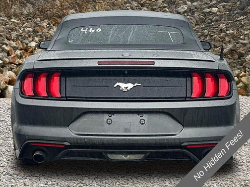 Magnetic 2018 Ford Mustang EcoBoost Premium
