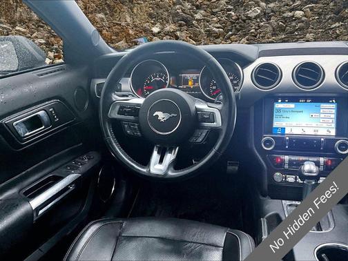 Magnetic 2018 Ford Mustang EcoBoost Premium