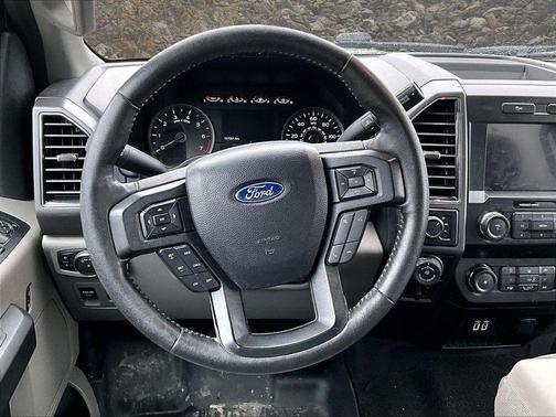 Magnetic 2019 Ford F-150 XLT