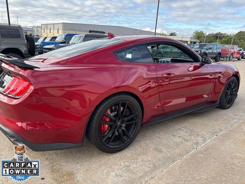 2021 Ford Shelby GT500 Base
