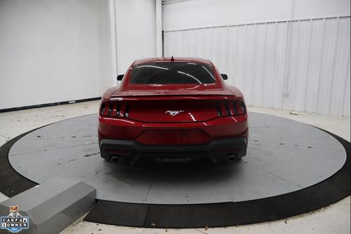 RAPID RED MET TINTED CC 2024 Ford Mustang EcoBoost Premium