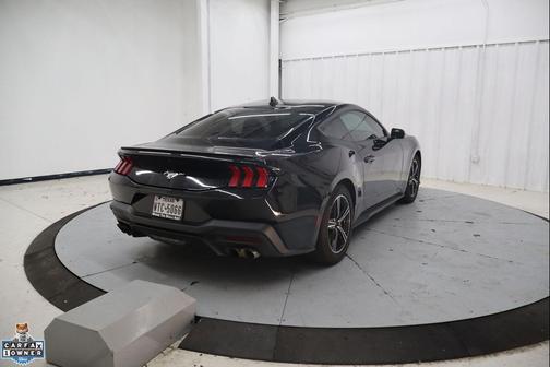 SHADOW BLACK 2024 Ford Mustang EcoBoost