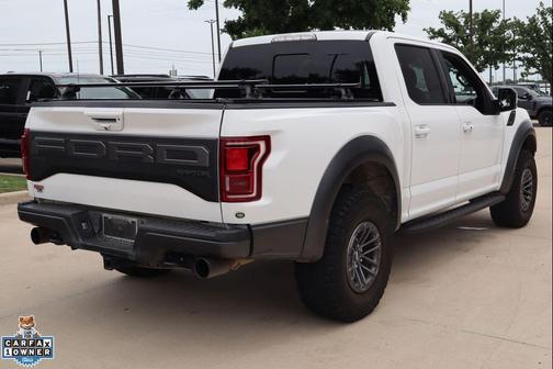 OXFORD WHITE 2019 Ford F-150 Raptor