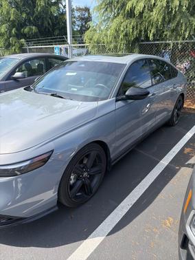 Urban Gray Pearl 2025 Honda Accord Hybrid