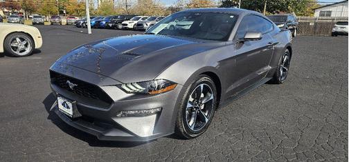 2021 Ford Mustang EcoBoost