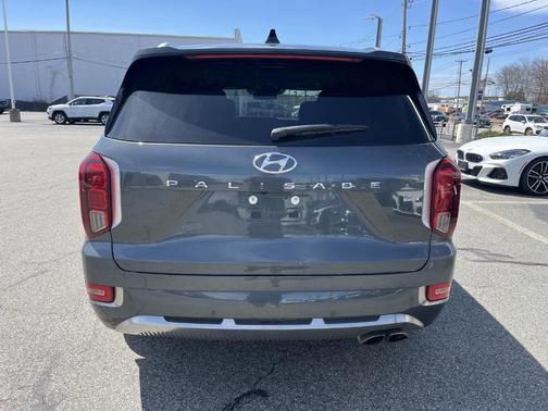 Rainforest 2022 Hyundai PALISADE Calligraphy