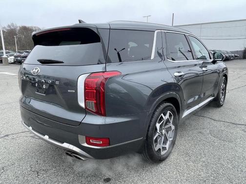 Rainforest 2022 Hyundai PALISADE Calligraphy