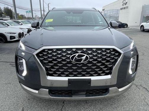 Rainforest 2022 Hyundai PALISADE Calligraphy