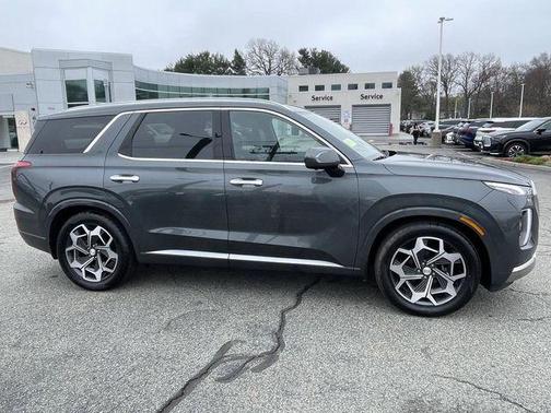 Rainforest 2022 Hyundai PALISADE Calligraphy