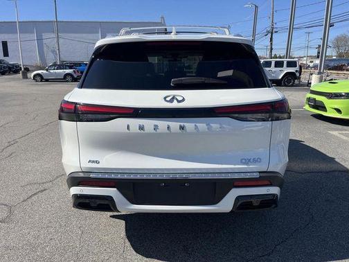 Majestic White 2023 INFINITI QX60 Luxe