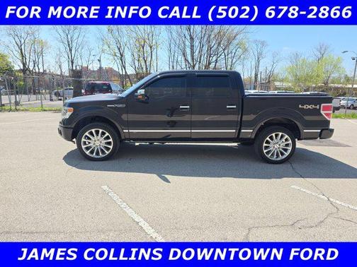 2013 Ford F-150 Platinum