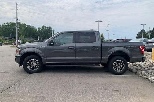 Magnetic 2019 Ford F-150 XLT