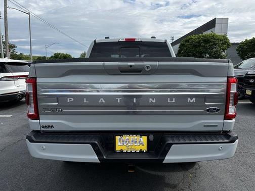 Avalanche Gray 2023 Ford F-150 Platinum
