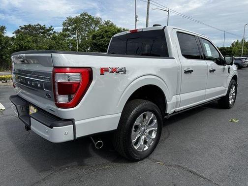Avalanche Gray 2023 Ford F-150 Platinum