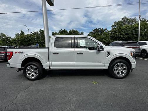 Avalanche Gray 2023 Ford F-150 Platinum
