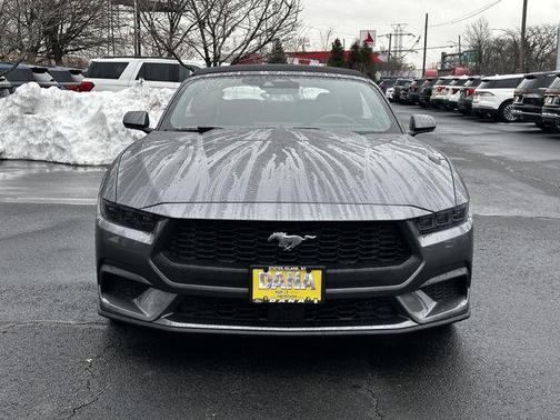 2025 Ford Mustang EcoBoost