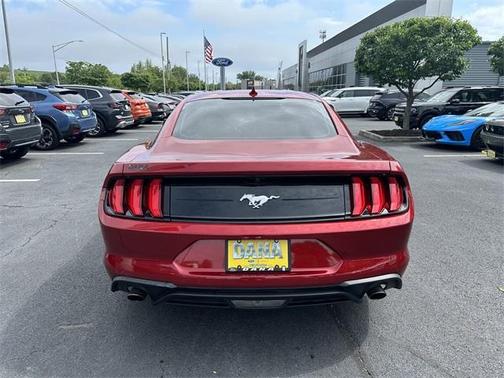 2023 Ford Mustang EcoBoost
