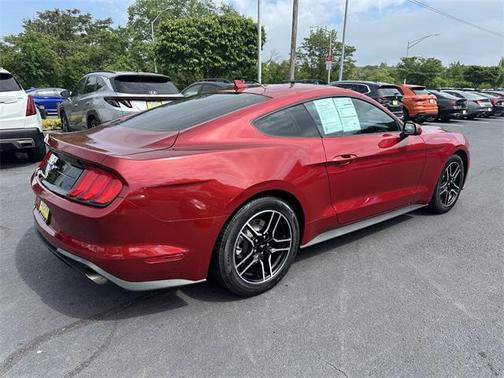 2023 Ford Mustang EcoBoost