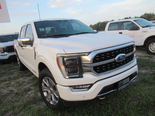 White Metallic 2022 Ford F-150 Platinum