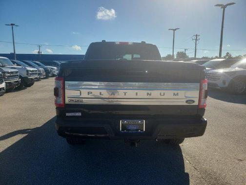 Black Metallic 2021 Ford F-150 Platinum