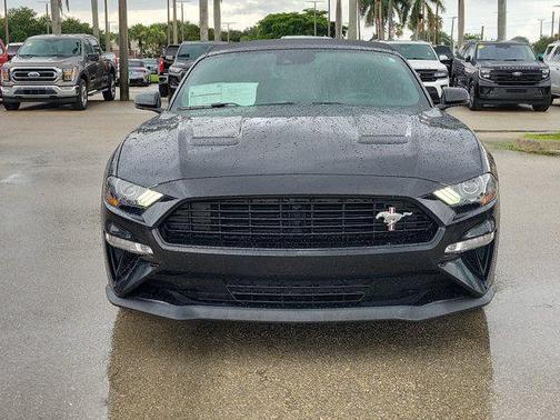 Shadow Black 2019 Ford Mustang GT Premium