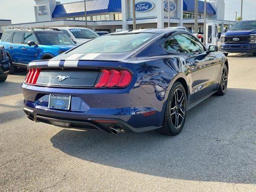 KONA BLUE METALLIC 2019 Ford Mustang EcoBoost