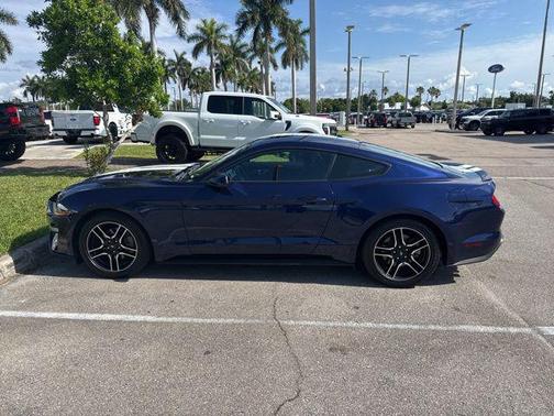 KONA BLUE METALLIC 2019 Ford Mustang EcoBoost