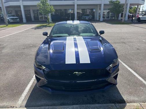 KONA BLUE METALLIC 2019 Ford Mustang EcoBoost