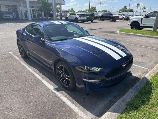 KONA BLUE METALLIC 2019 Ford Mustang EcoBoost