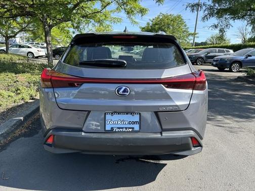 2019 Lexus UX 250h F Sport