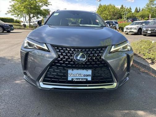 2019 Lexus UX 250h F Sport