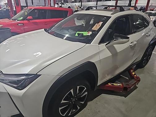 2019 Lexus UX 200 Luxury