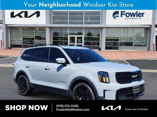 Wolf Gray 2024 Kia Telluride EX X-Line