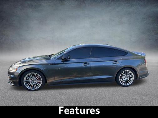 Daytona Gray Pearl 2019 Audi S5 3.0T Prestige