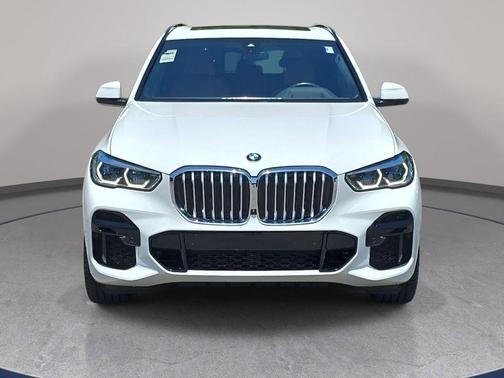 Alpine White 2023 BMW X5 xDrive40i