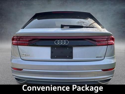 Florett Silver Metallic 2019 Audi Q8 3.0T Premium Plus