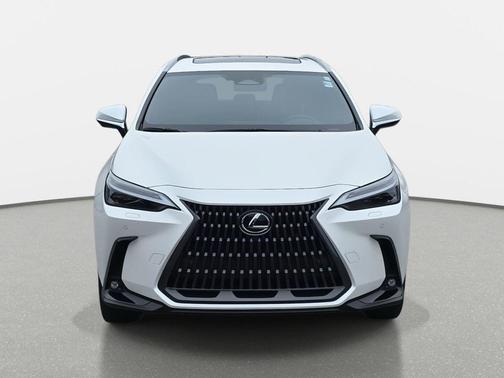 2024 Lexus NX 450h+ Luxury