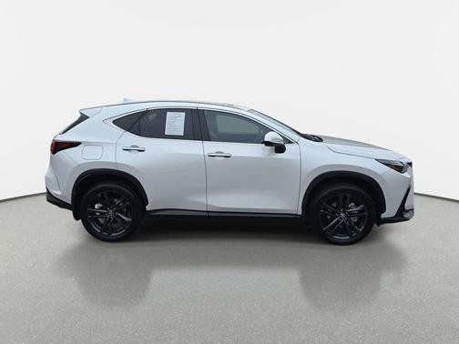 2024 Lexus NX 450h+ Luxury