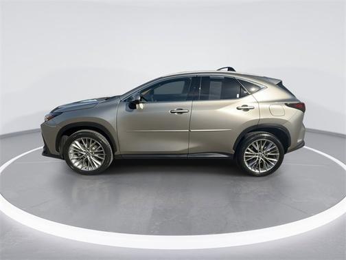 2024 Lexus NX 350h Luxury
