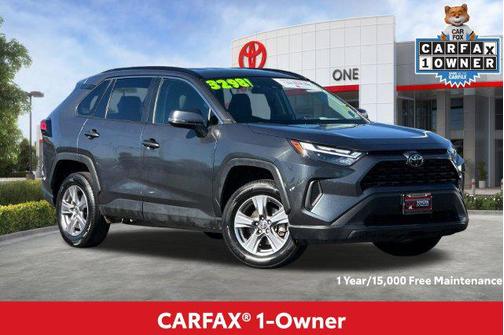 Magnetic Gray Metallic 2025 Toyota RAV4 XLE