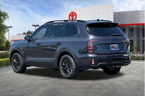 Panthera Metal 2025 Kia Telluride SX Prestige X-Pro