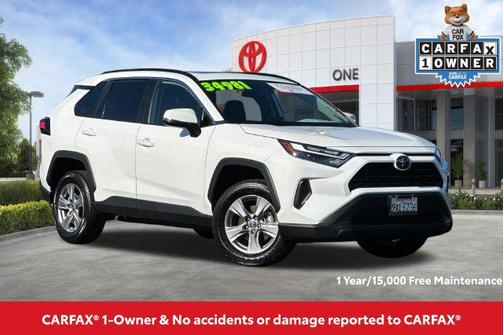 Ice Cap 2025 Toyota RAV4 XLE