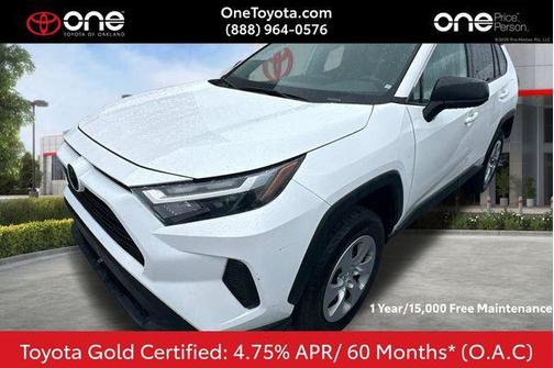 Ice Cap 2024 Toyota RAV4 LE