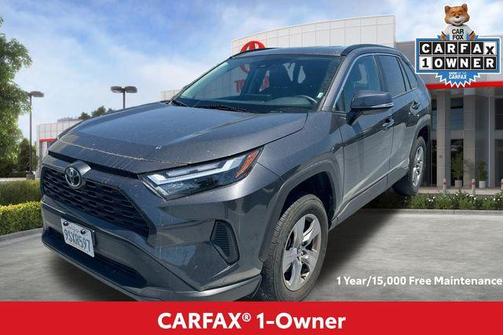 Magnetic Gray Metallic 2025 Toyota RAV4 XLE