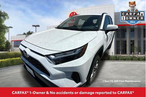 Ice 2025 Toyota RAV4 XLE