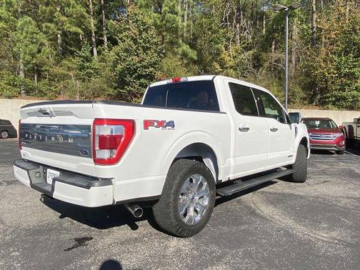 2021 Ford F-150 Platinum