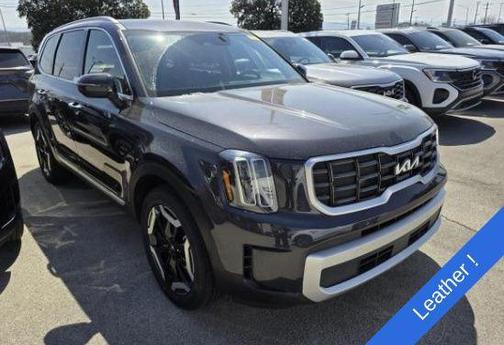 Panthera Metal 2025 Kia Telluride S
